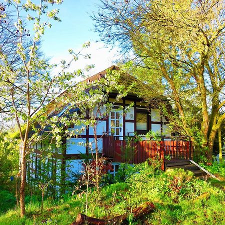 Natururlaub Frankenau Exteriör bild