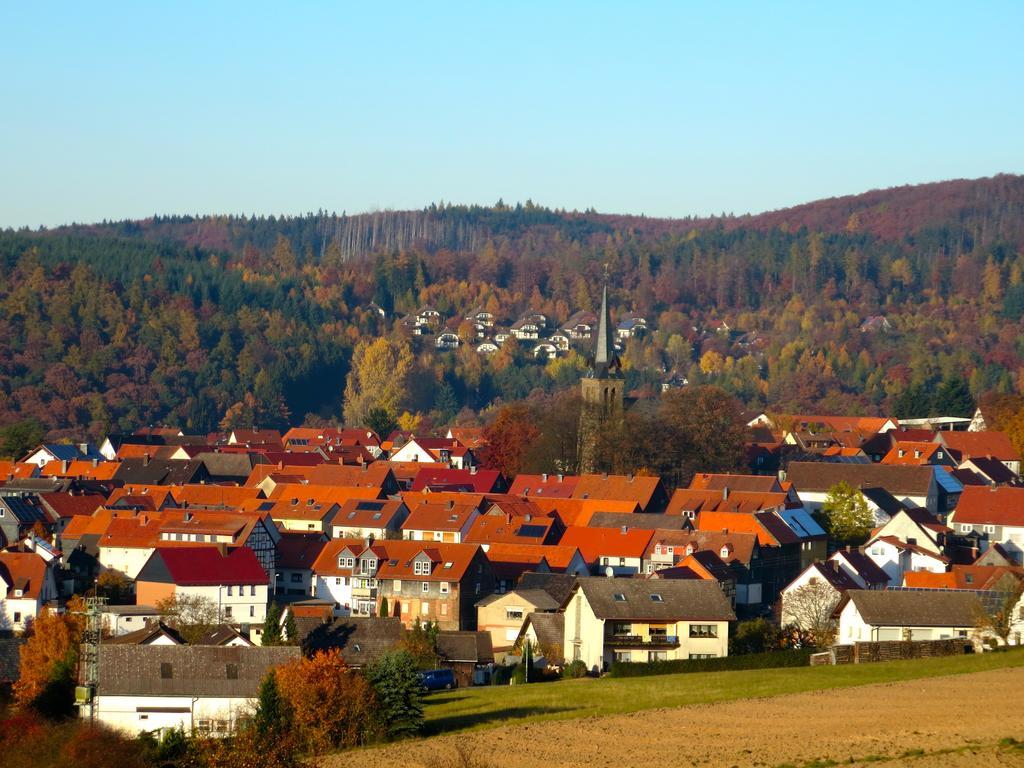Natururlaub Frankenau Exteriör bild